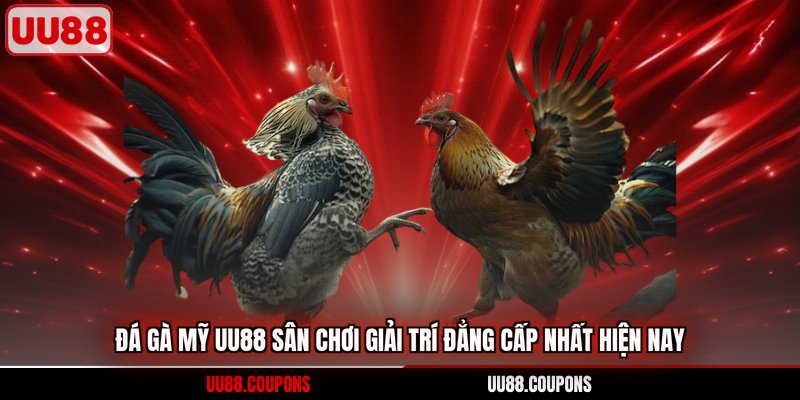 đá gà mỹ uu88